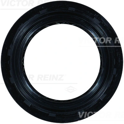 Shaft Seal, differential